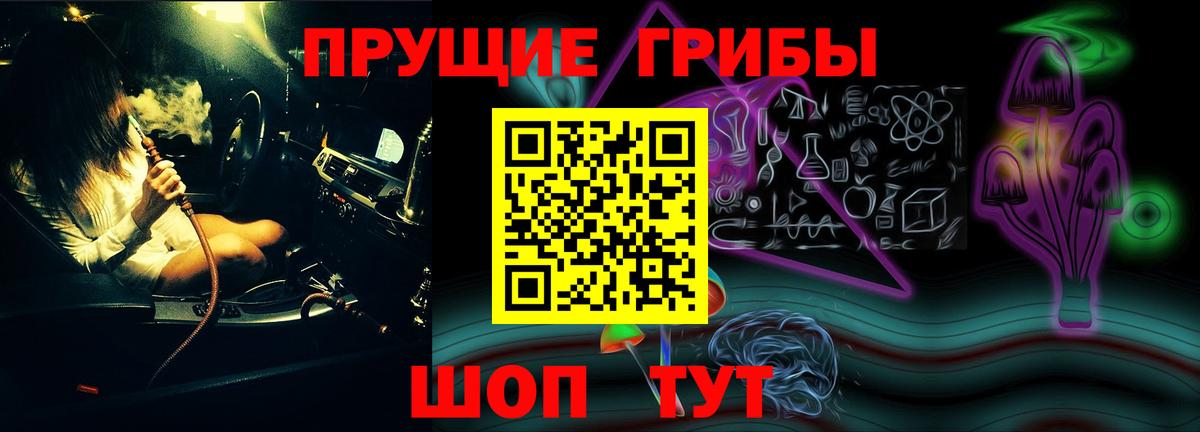 Галлюциногенные грибы Psilocybine cubensis Гусиноозёрск